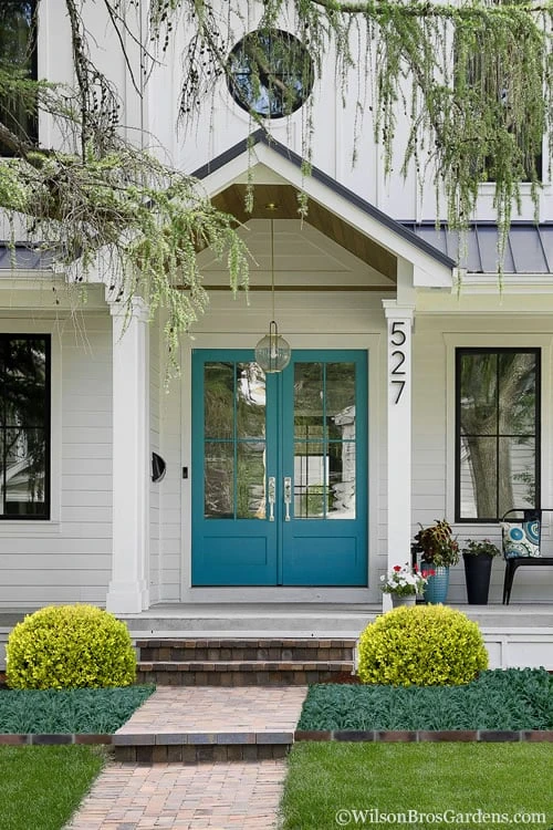 Golden Triumph Variegated Dwarf Boxwood - 1 Gallon Pot Golden Triumph Variegated Dwarf Boxwood - 1 Gallon Pot -Garden Plants shop Boxwood Golden Triumph 7 2