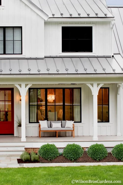 Korean Dwarf Boxwood - Buxus sinica var. insularis 'Nana' - 1 Gallon Pot Korean Dwarf Boxwood - Buxus Sinica Var. Insularis 'Nana' - 1 Gallon Pot -Garden Plants shop Boxwood Korean Dwarf Insularis Nana 4 1