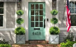 Green Mountain Boxwood 3-Ball Poodle Tier Topiary - 6 Gallon Pot 3 Green Mountain Boxwood 3-Ball Poodle Tier Topiary - 6 Gallon Pot -Garden Plants shop buxus green mountain 3 ball topiary 20