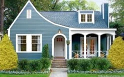 Gold Mop Threadleaf Cypress - 1 Gallon Pot -Garden Plants shop chamaecyparis pisifera gold mop cypress 105