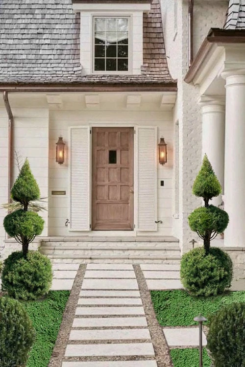 Dwarf Alberta Spruce 2-Ball Cone Topiary - 5 Gallon Pot Dwarf Alberta Spruce 2-Ball Cone Topiary - 5 Gallon Pot -Garden Plants shop dwarf alberta spruce 3 ball poodle tier with pyramid1