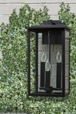 Variegated Creeping Fig - Ficus Pumila 'Variegata' - 6 Pack Of Pint Pots -Garden Plants shop ficus pumila variegata creeping fig 102 1