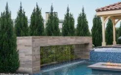 Spartan Juniper - 6 Pack Of 1 Gallon Pots 3 Spartan Juniper - 6 Pack Of 1 Gallon Pots -Garden Plants shop juniperus chinensis spartan columnar juniper 40