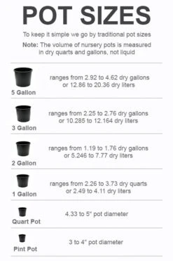 Garden Plants shop -Garden Plants shop pot size chart 2022 210